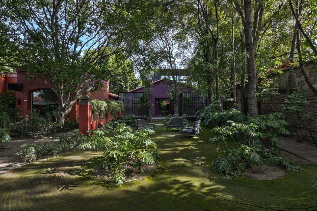 El Gallinero Morada La Noria 아파트 호텔 외부 사진